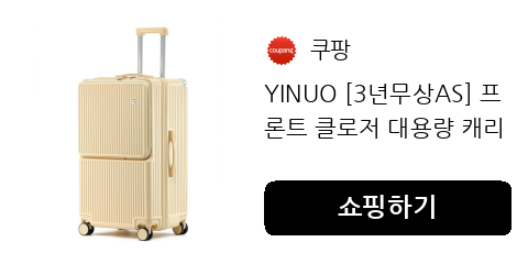 YINUO [3년무상AS] 프론트 클로저 대용량 캐리어 USB 충전포트 핸드폰 거치대 멀티 패션 캐리어 노트북 수납이 가능한 비즈니스 캐리어