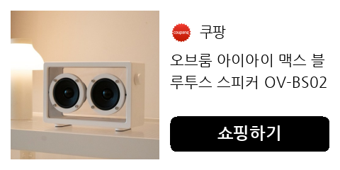 오브룸 아이아이 맥스 블루투스 스피커 OV-BS02