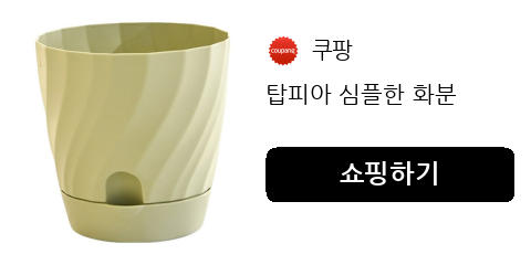 탑피아 심플한 화분