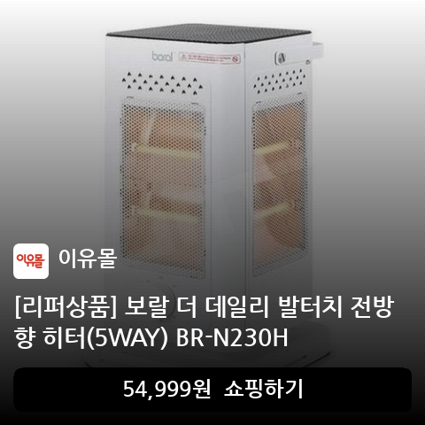 [리퍼상품] 보랄 더 데일리 발터치 전방향 히터(5WAY) BR-N230H