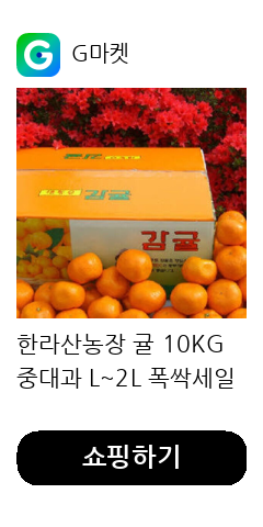 한라산농장 귤 10KG 중대과 L~2L 폭싹세일 고당도 주7일배송 무료반품