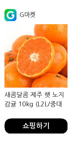 새콤달콤 제주 햇 노지 감귤 10kg (L2L/중대과) 박스포함 귤