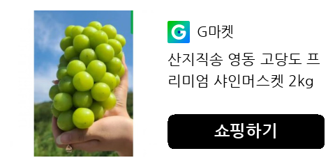 샤인머스켓 산지직송 영동 고당도 프리미엄을 선택해야 하는 이유